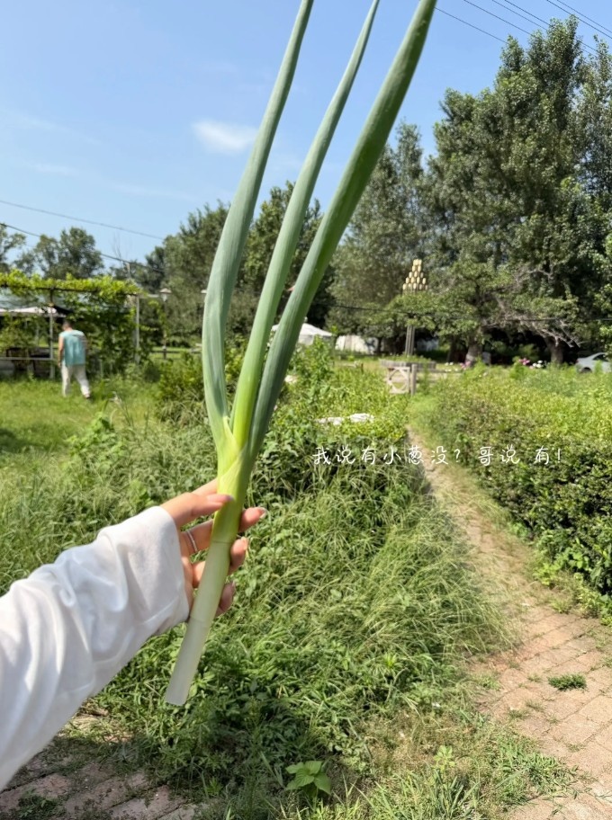 吴昌泽妻子晒牧场近照 上季场均2.2分2.1篮板