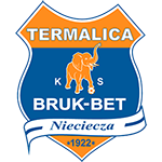 涅切察